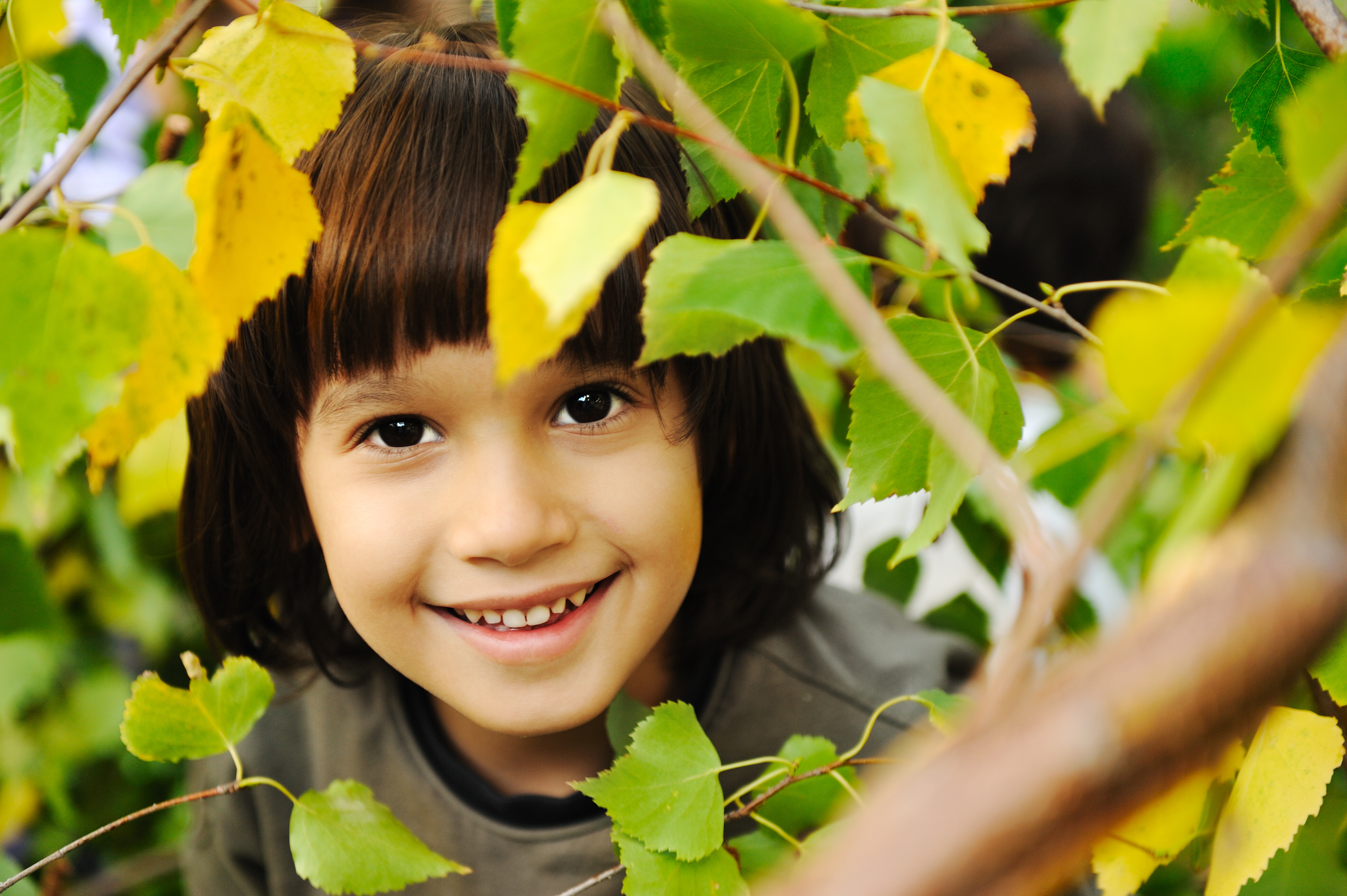 Happy childhood outdoor, happy faces between the leaves of the trees i